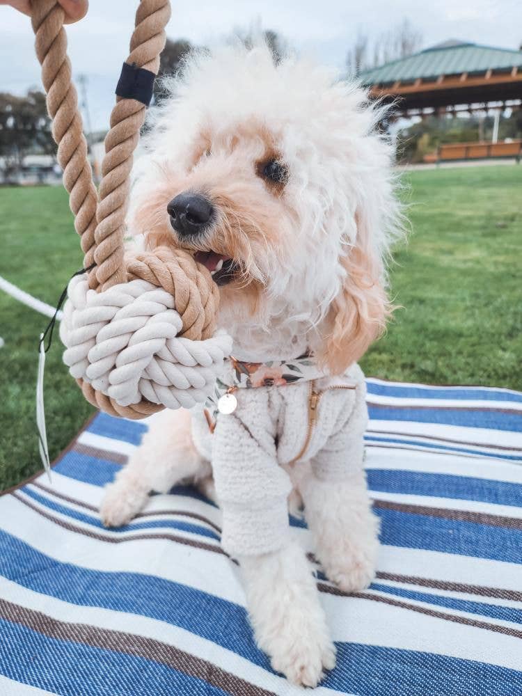 🌿🐾 Eco friendly Dog Rope Toy