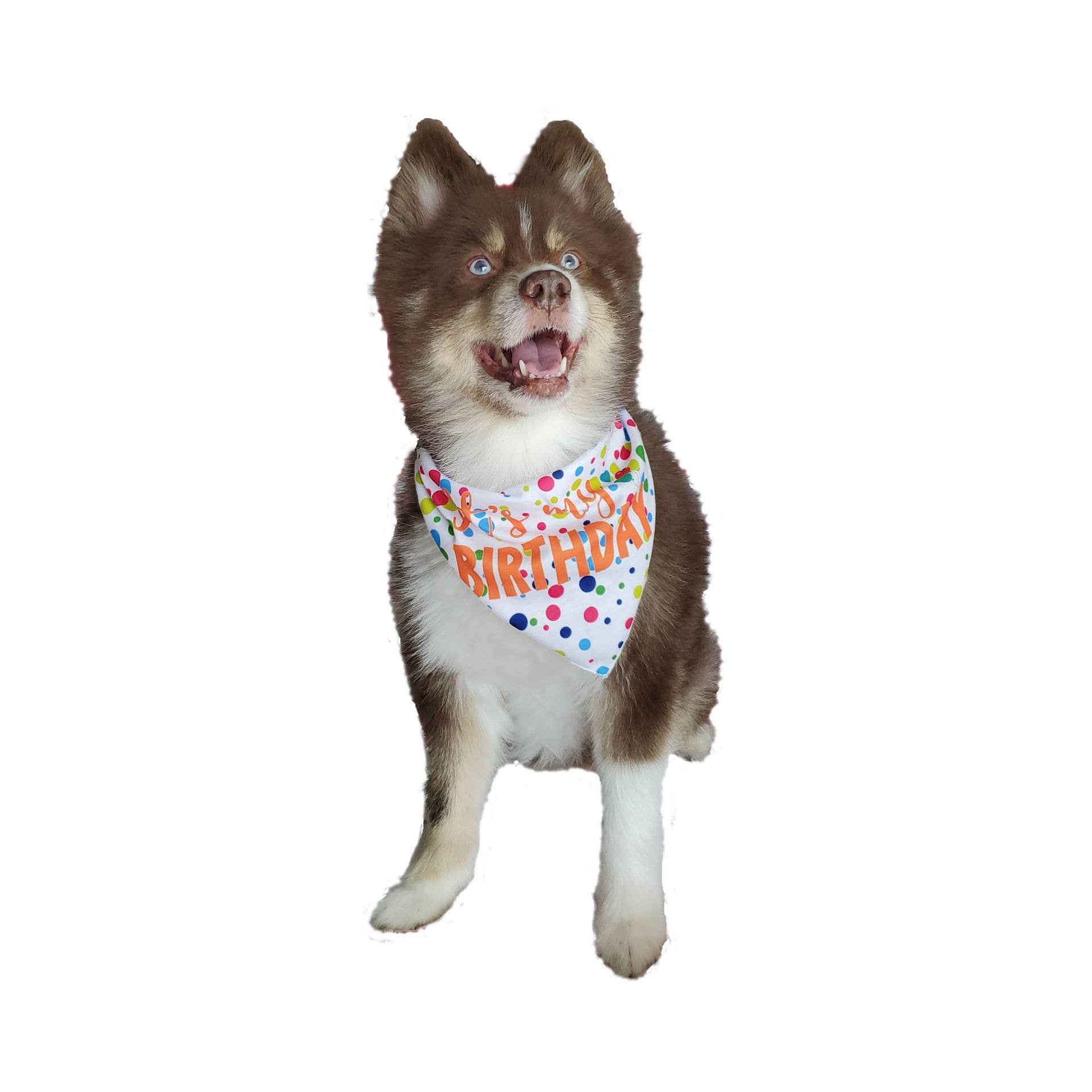 🎉🐾 Happy Birthday Dog & Cat Bandana