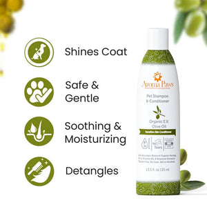 Organic Olive Oil 13.5 oz Shampoo