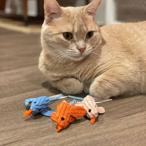 HuggleKats® Chickies Cat Toys (3pk)