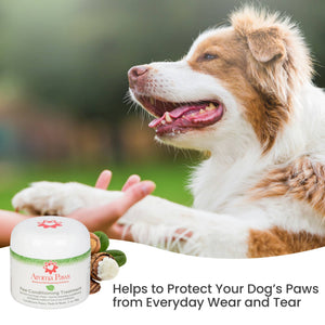 🐾✨Paw Conditioning Treatment 2oz