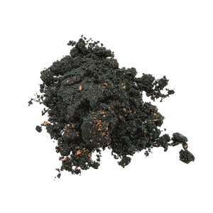 🧠 Graveyard Crumble Pet Health