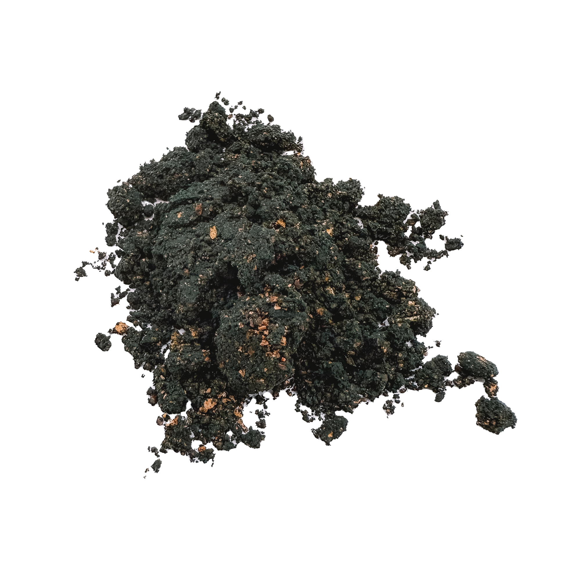 🧠 Graveyard Crumble Pet Health