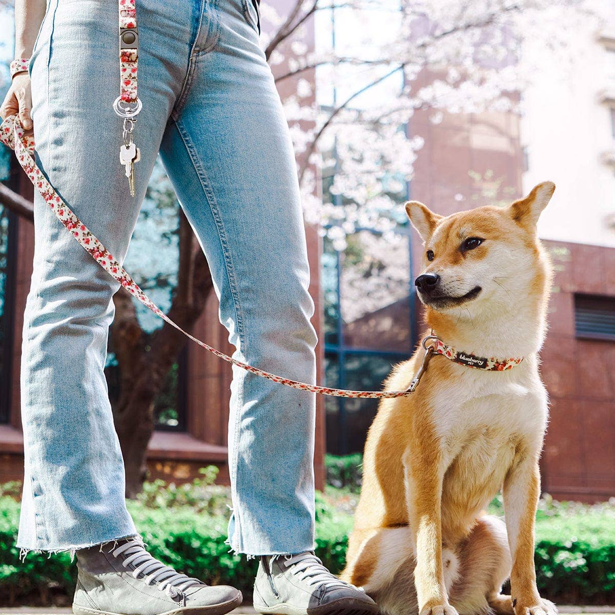 🌹 Best-Selling Floral Dog Collar – Elegant, Durable & Everyday Ready 🐾