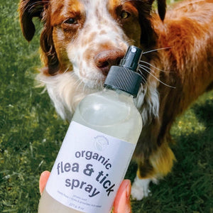 Organic Flea & Tick Spray