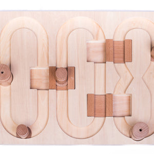 🧠 Advanced “008” Puzzle Game for Pets – Our Most Challenging Intelligence Toy