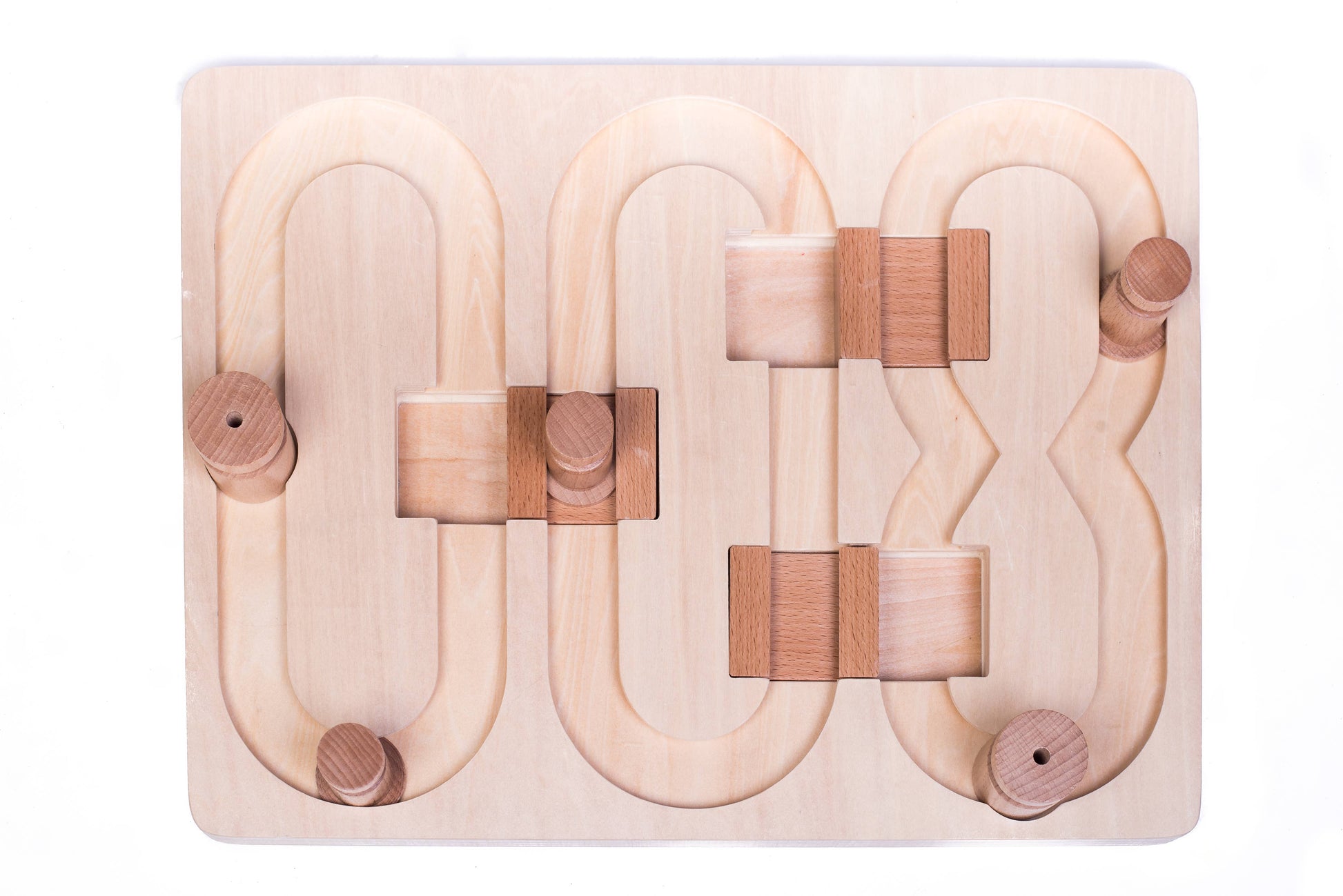 🧠 Advanced “008” Puzzle Game for Pets – Our Most Challenging Intelligence Toy