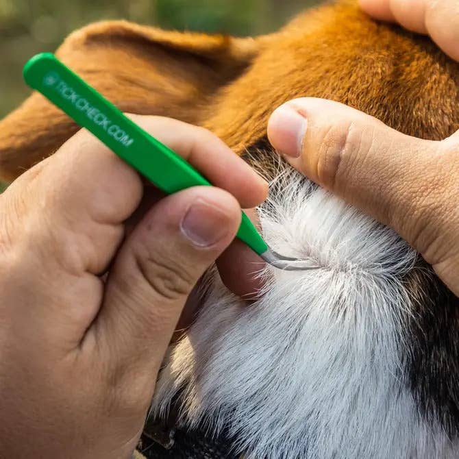 🪲 TickCheck Premium Tick Remover Kit | Compact Tick Removal Solution 🐾