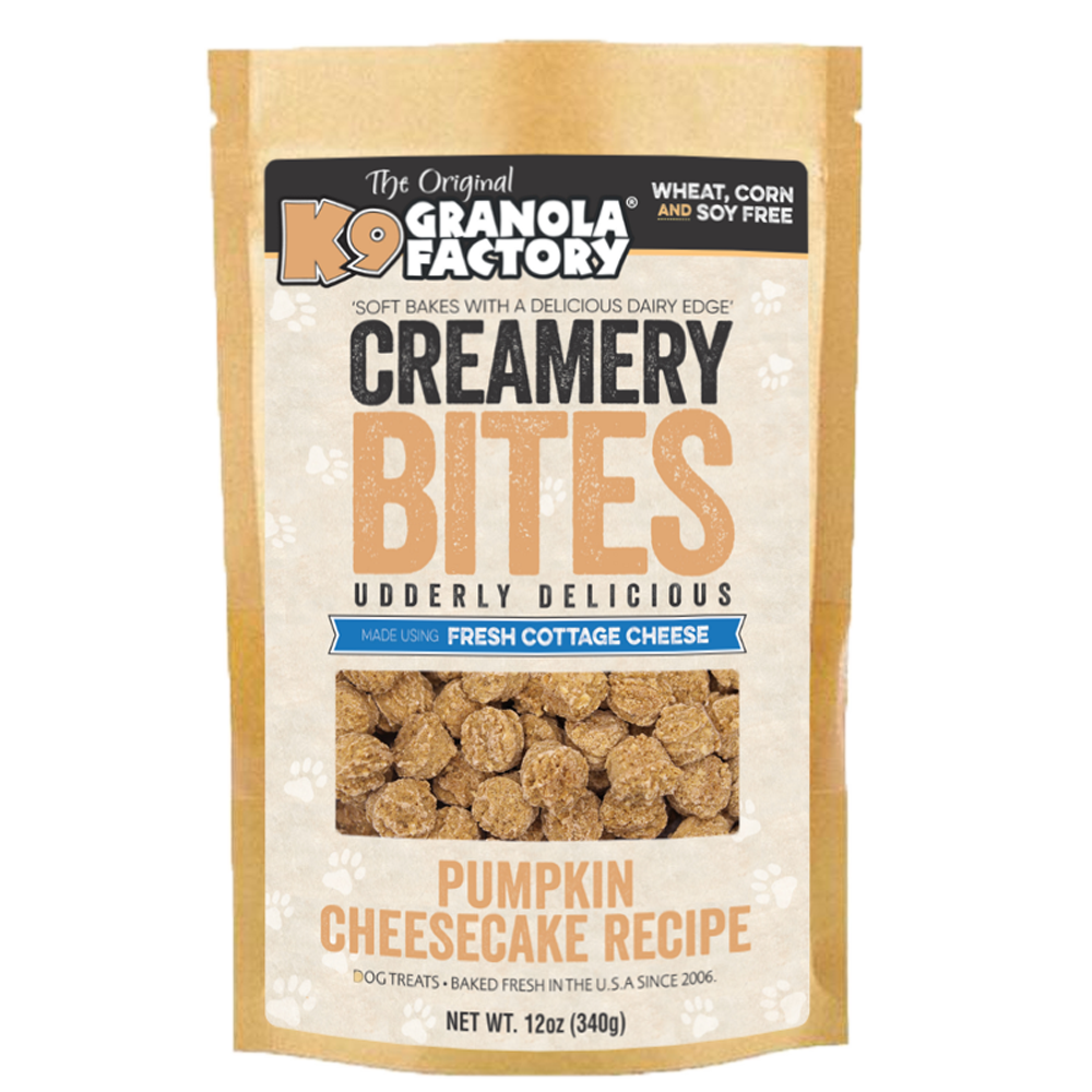 🎃 Pumpkin Cheesecake Bites for Dogs | K9 Creamery Collection 🐾