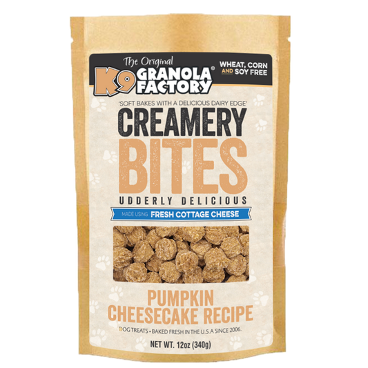 🎃 Pumpkin Cheesecake Bites for Dogs | K9 Creamery Collection 🐾