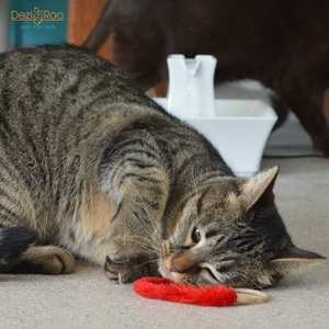 A-Lure-Ring - with Tail Wand Attachment toy