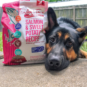 Salmon & Sweet Potato Recipe Dry Dog Food, M/L bag