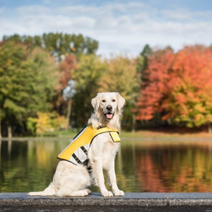 GF Pet Life Vest: Yellow