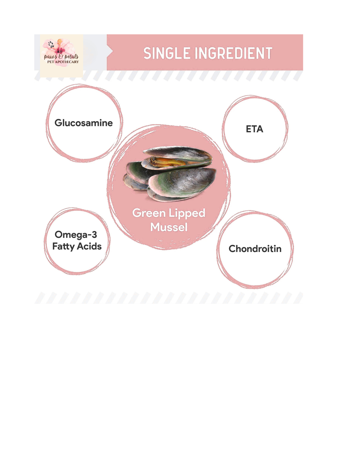 🦪🐾 Green-Lipped Mussel (GLM) Powder for Dogs – Joint Support Superfood