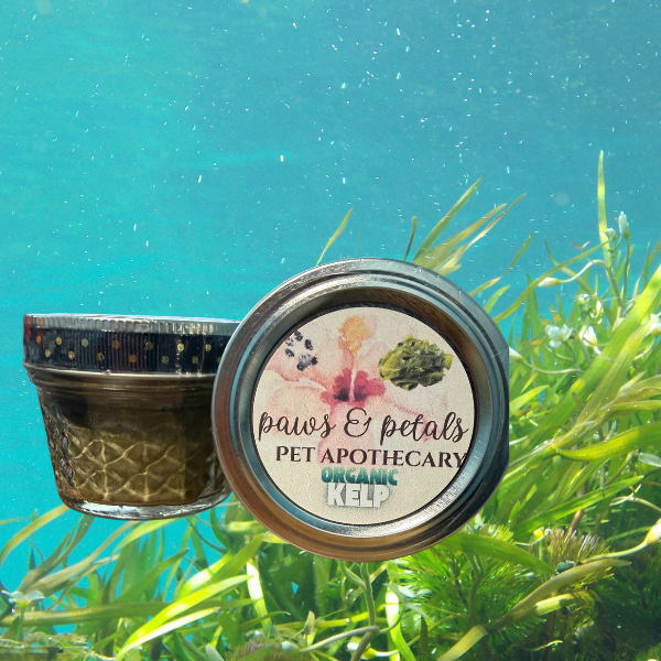 🌊Organic Kelp Supplement