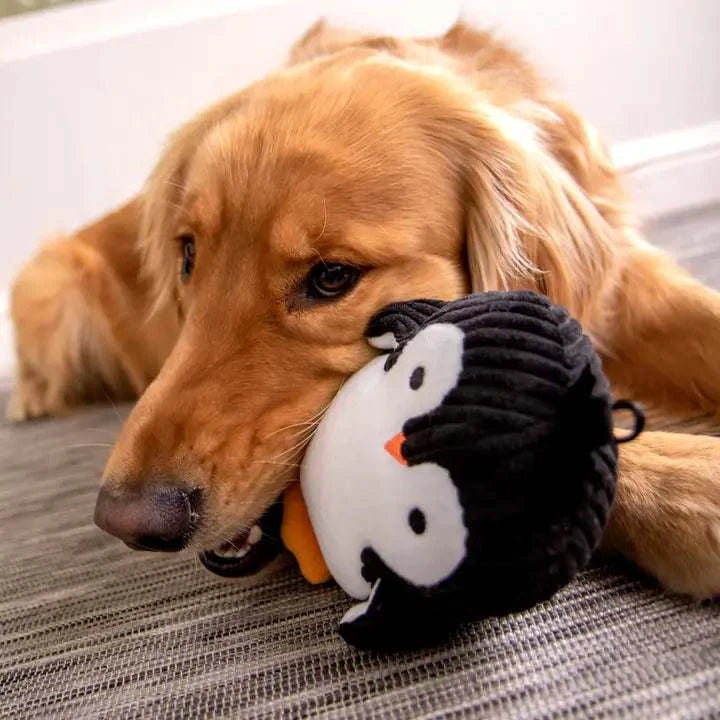 Silent Squeak Penguin Soft Plush Dog Toy