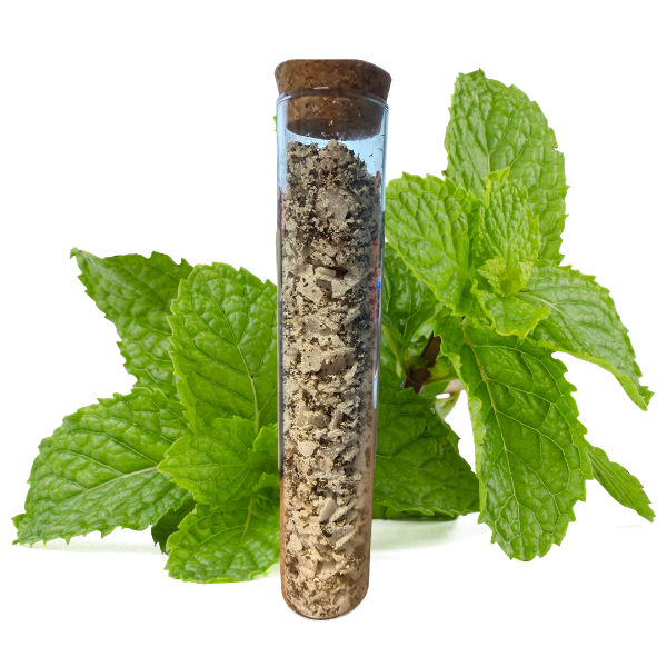 🌿Peppermint Garden Botanical Mineral Bath Soak Salts