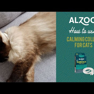 ALZOO Plant-Based Calming Collar for Cats