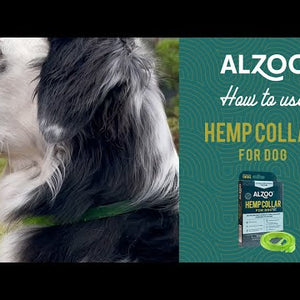 ALZOO PLANT-BASED HEMP PREMIUM MOBILITY COLLAR