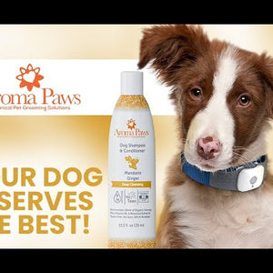 Mandarin Ginger Shampoo 13.5oz