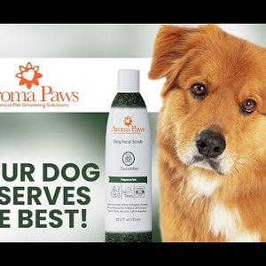 Bath Free Foaming Freshener- Eucalyptus Peppermint 4.25oz