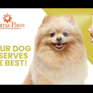 Lemongrass Vanilla Bean Dog Coat Spray 4.5oz