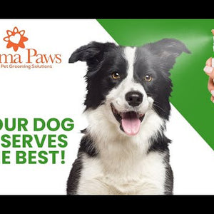 Rosemary Tea Tree Shampoo 13.5oz