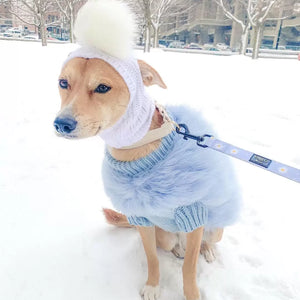 Haute Couture Feathered Luxury Pet Sweater