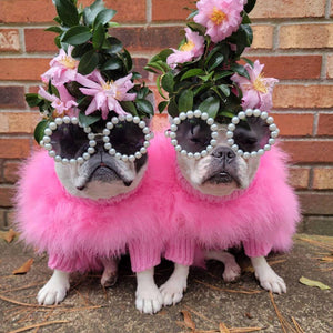 Haute Couture Feathered Luxury Pet Sweater