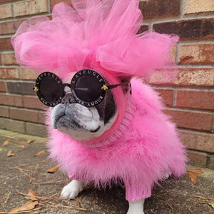 Haute Couture Feathered Luxury Pet Sweater