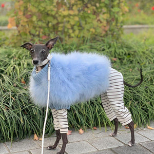 Haute Couture Feathered Luxury Pet Sweater
